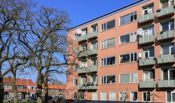 Ligusterstraat