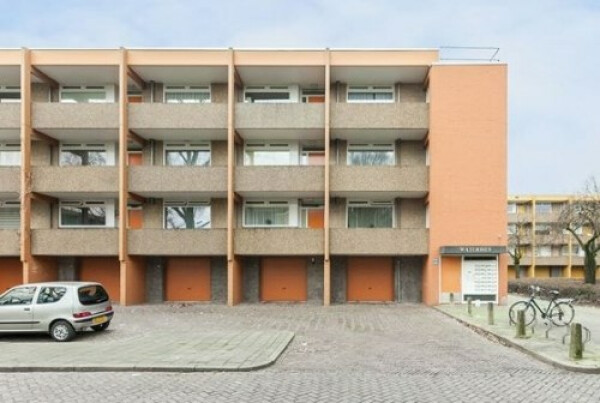 Meijhorst